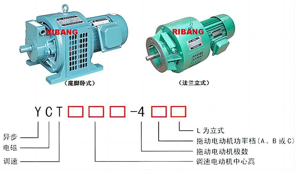 file1171.jpg